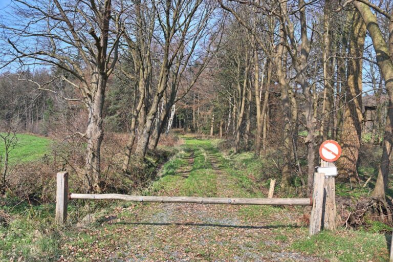 Why You Want to Heal, But Don’t Always Show Up