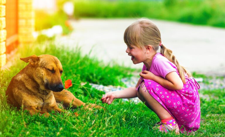 Why Inner Child Healing Matters