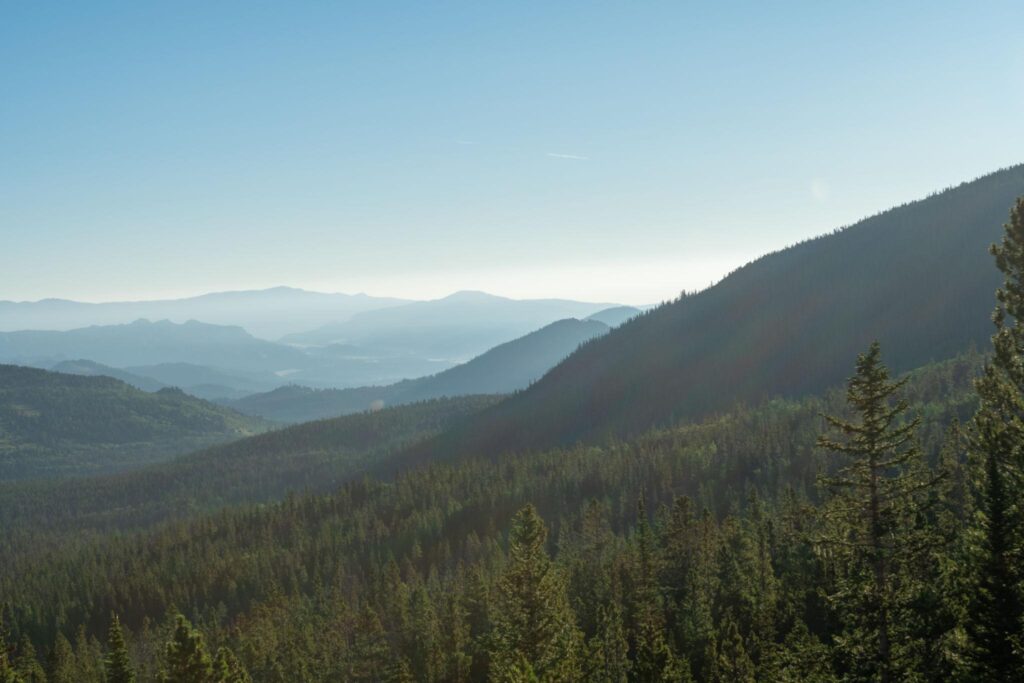 When the World Feels Unstable, Where Do We Find Safety?